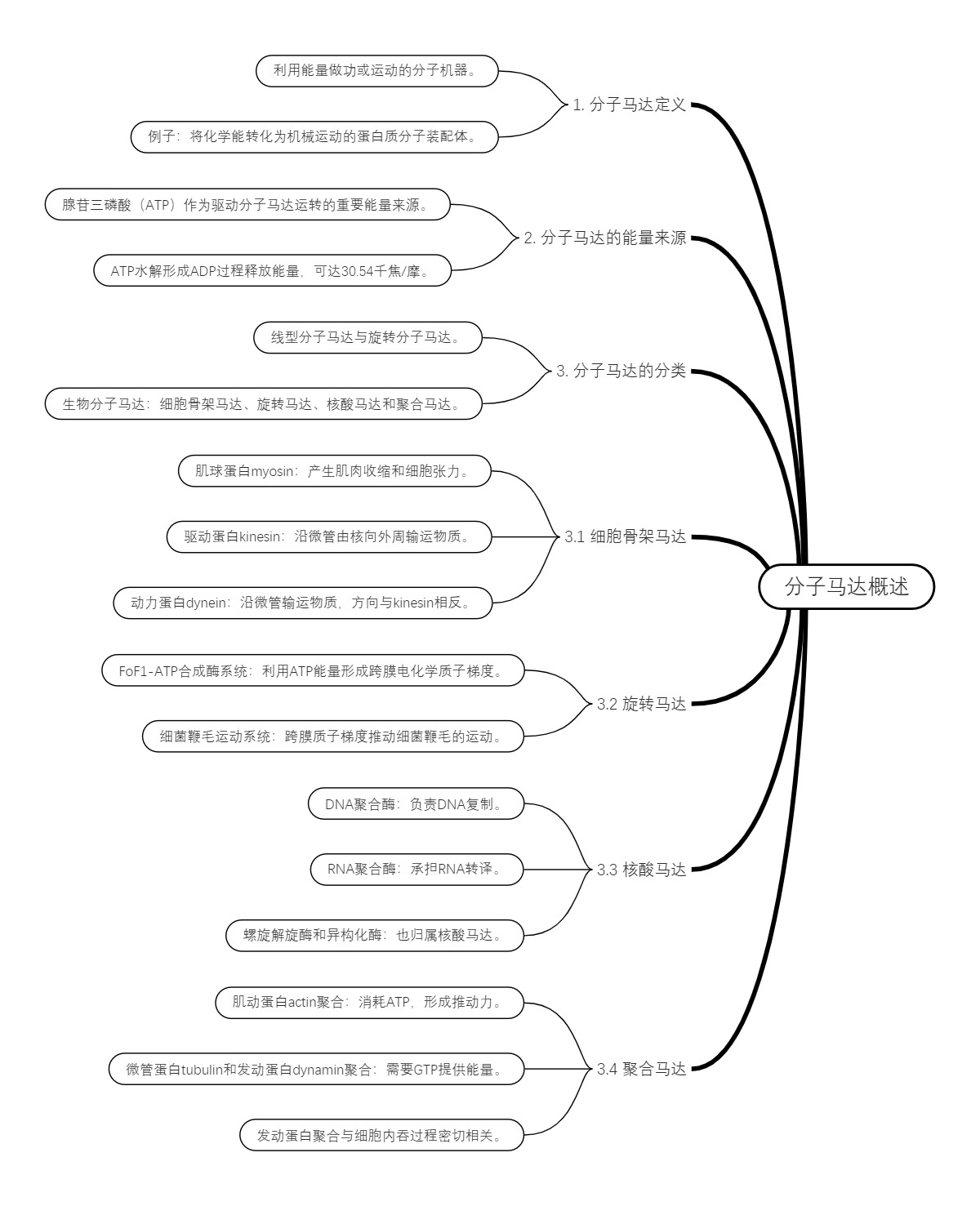分子马达概述