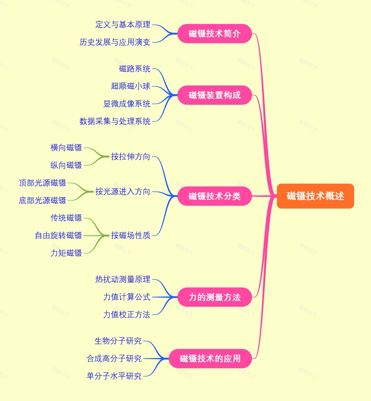 磁镊技术概述