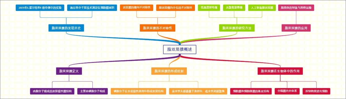 脂双层膜概述