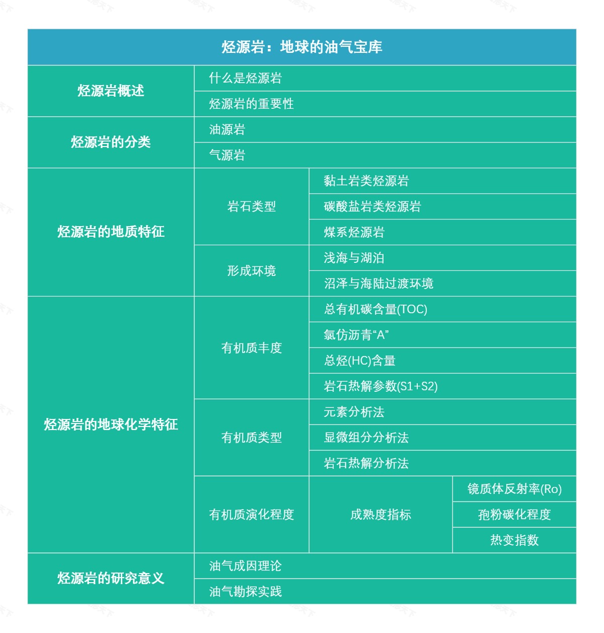 烃源岩：地球的油气宝库