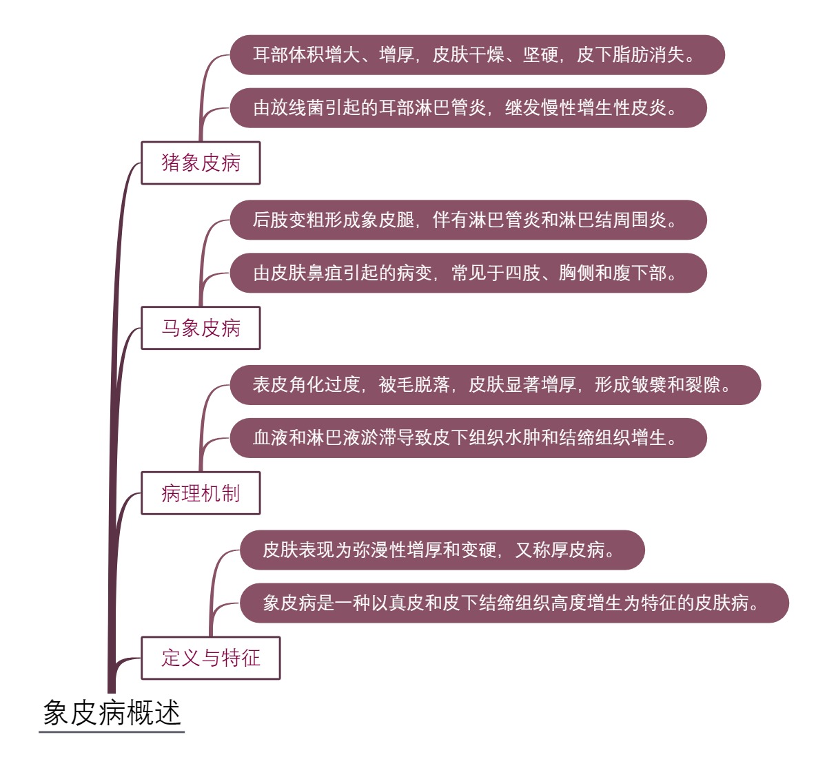 象皮病概述