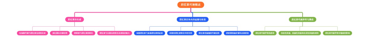 胆红素代谢概述