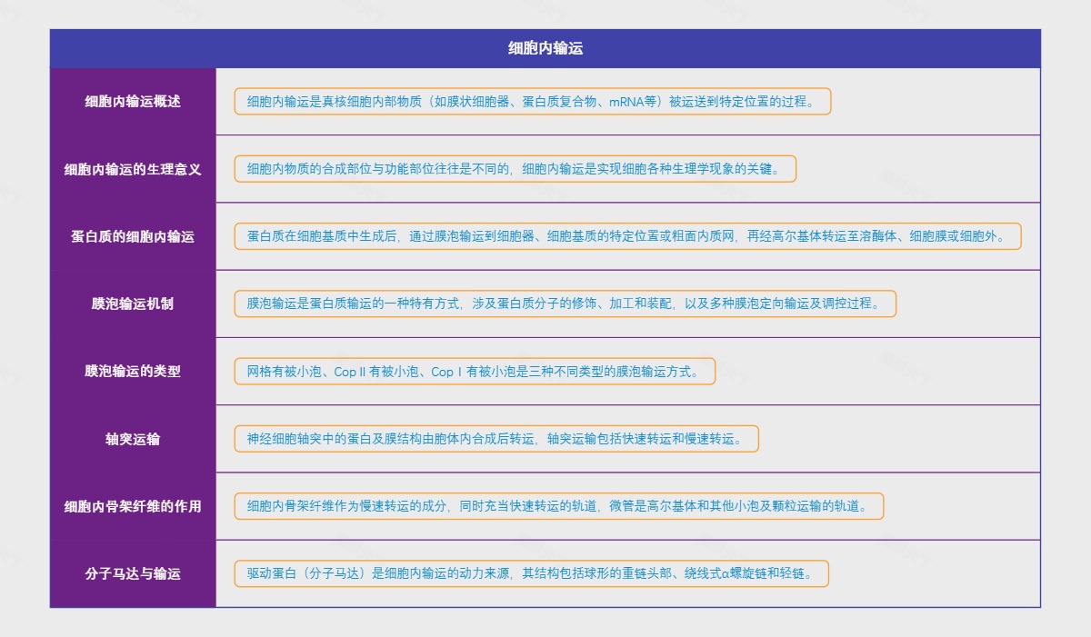 细胞内输运