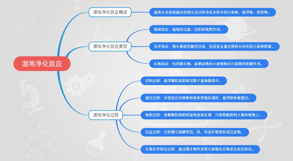 湿地净化效应