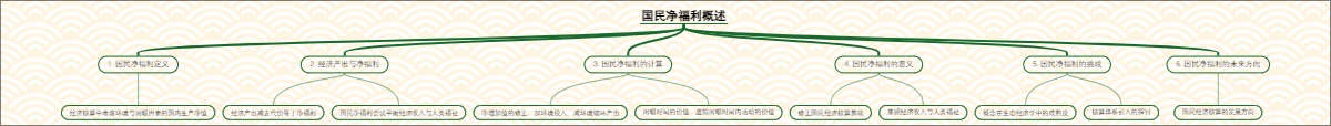 国民净福利概述