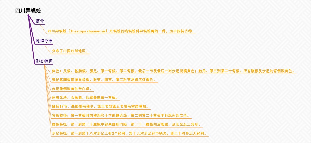 四川异蜈蚣