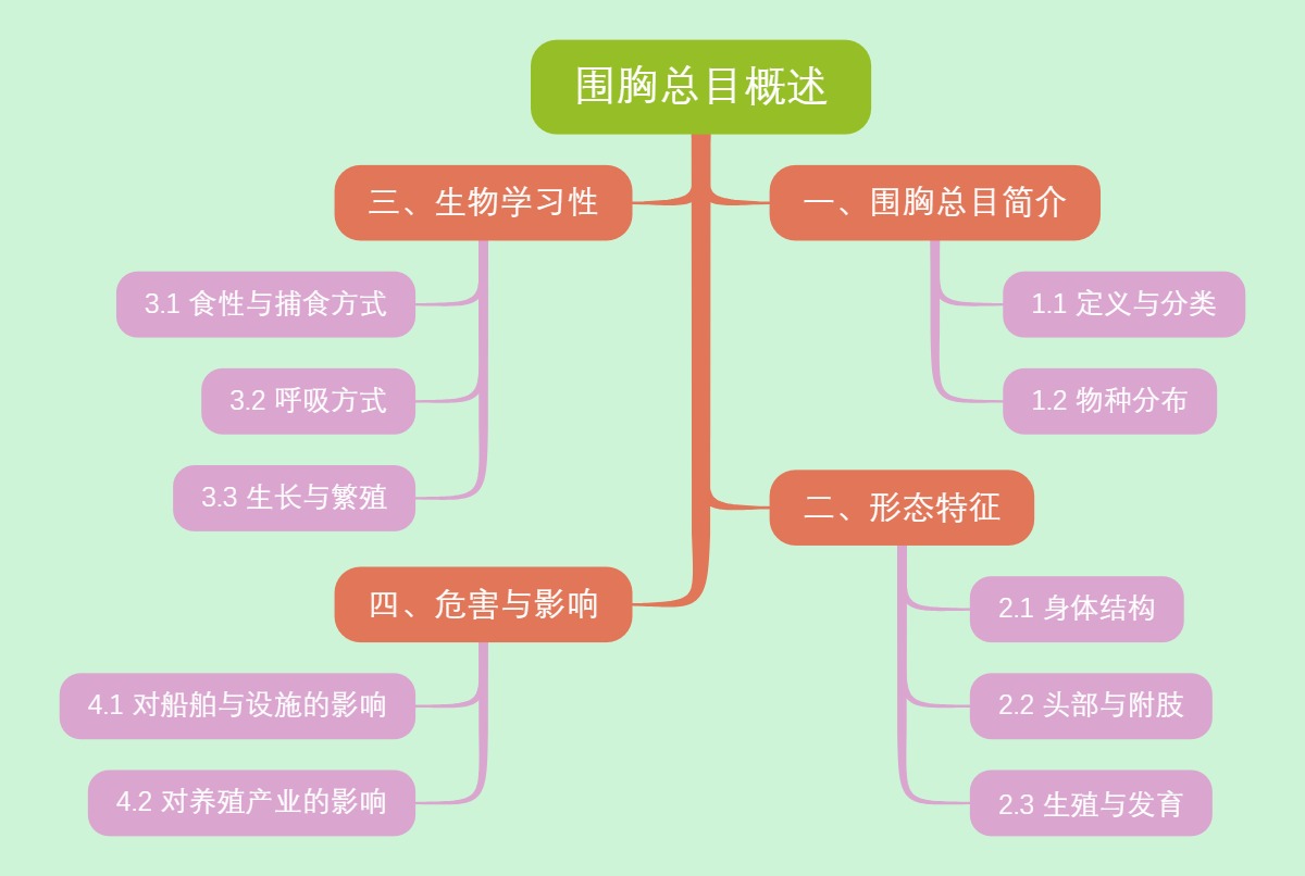 围胸总目概述