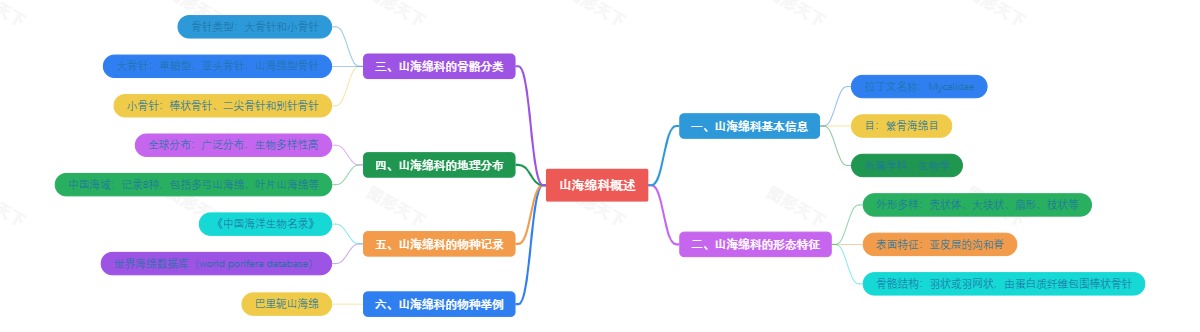 山海绵科概述