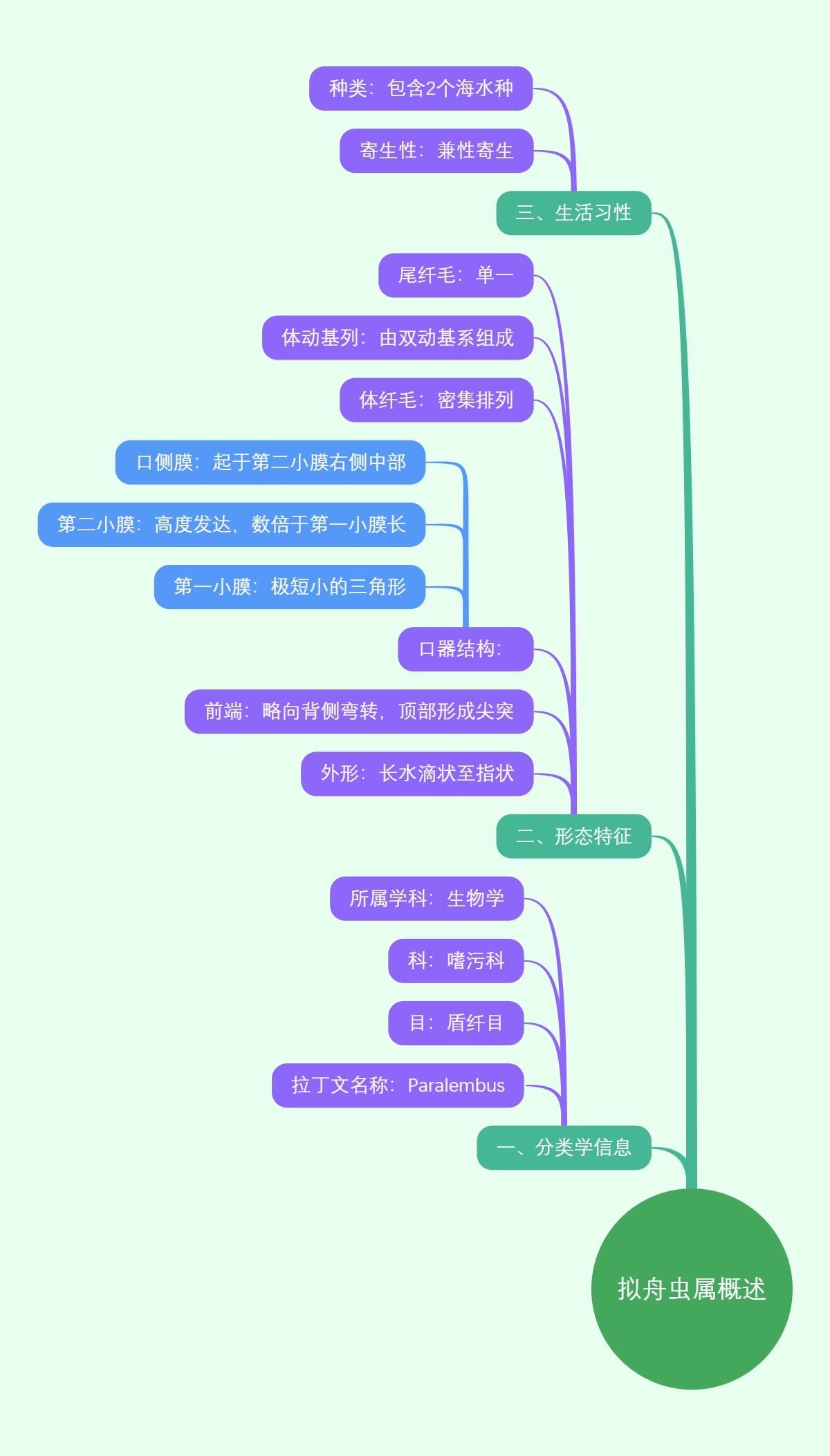 拟舟虫属概述
