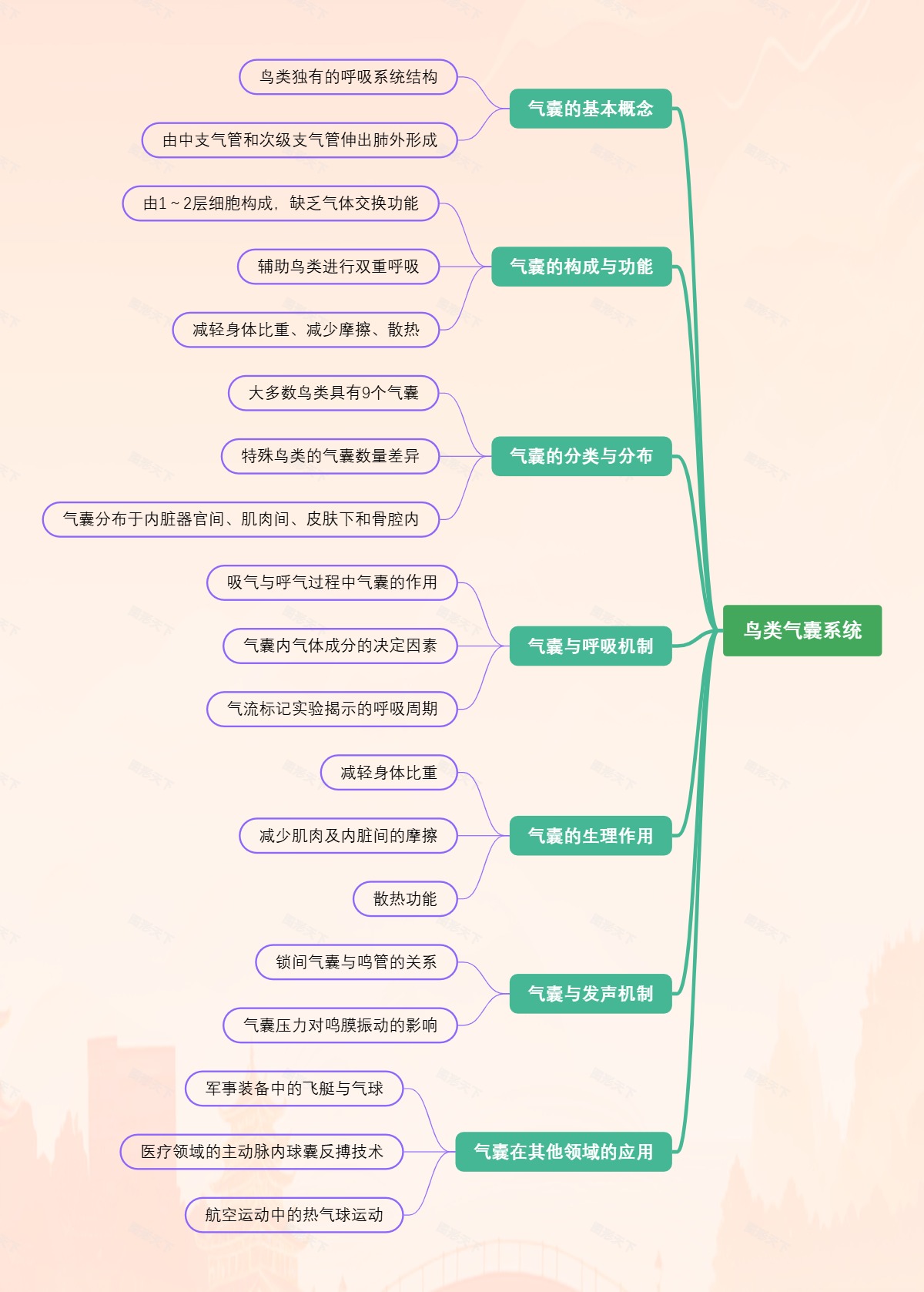 鸟类气囊系统