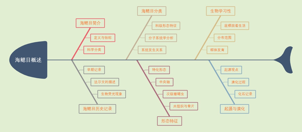 海鳃目概述