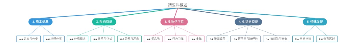 猬亚科概述