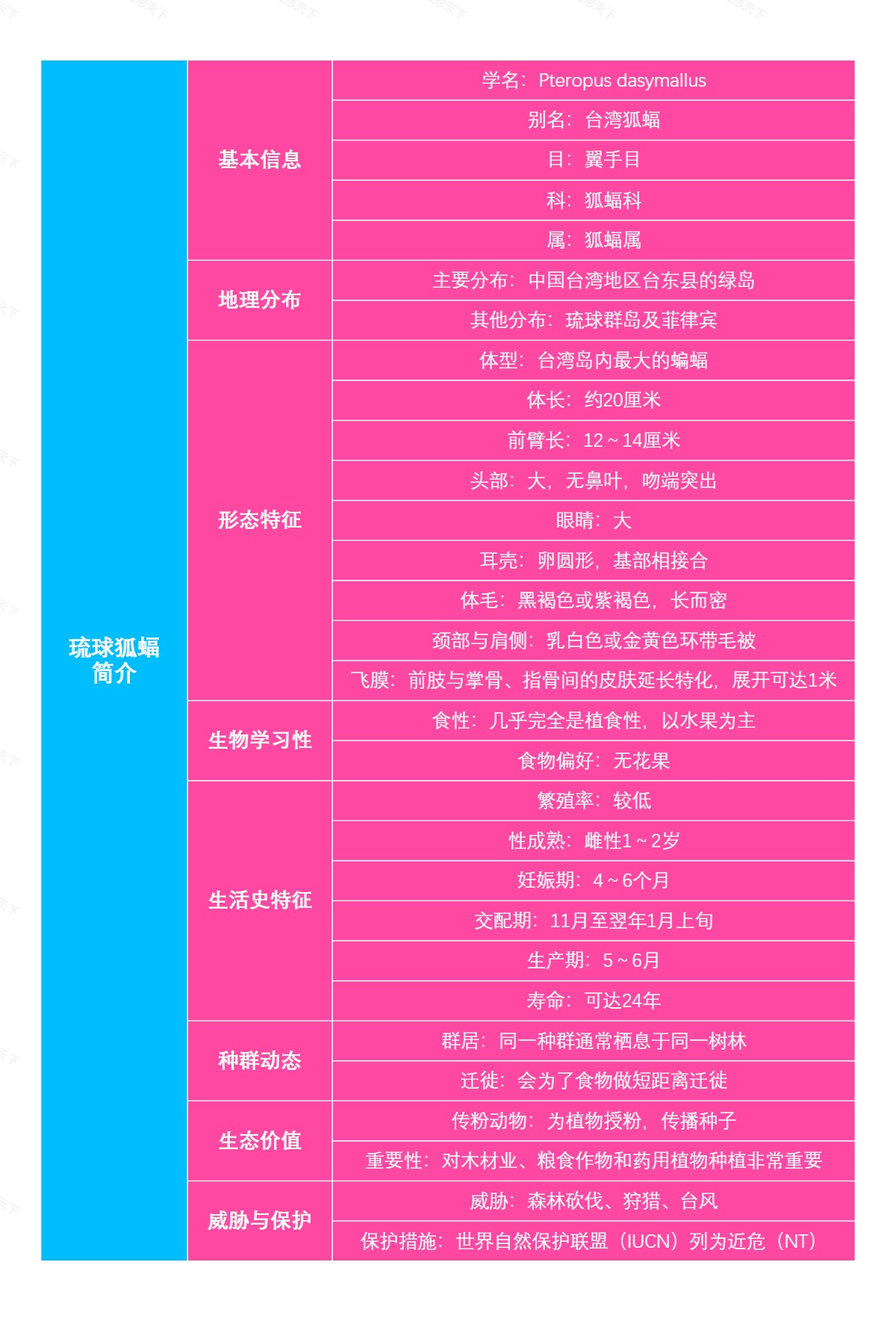 琉球狐蝠简介