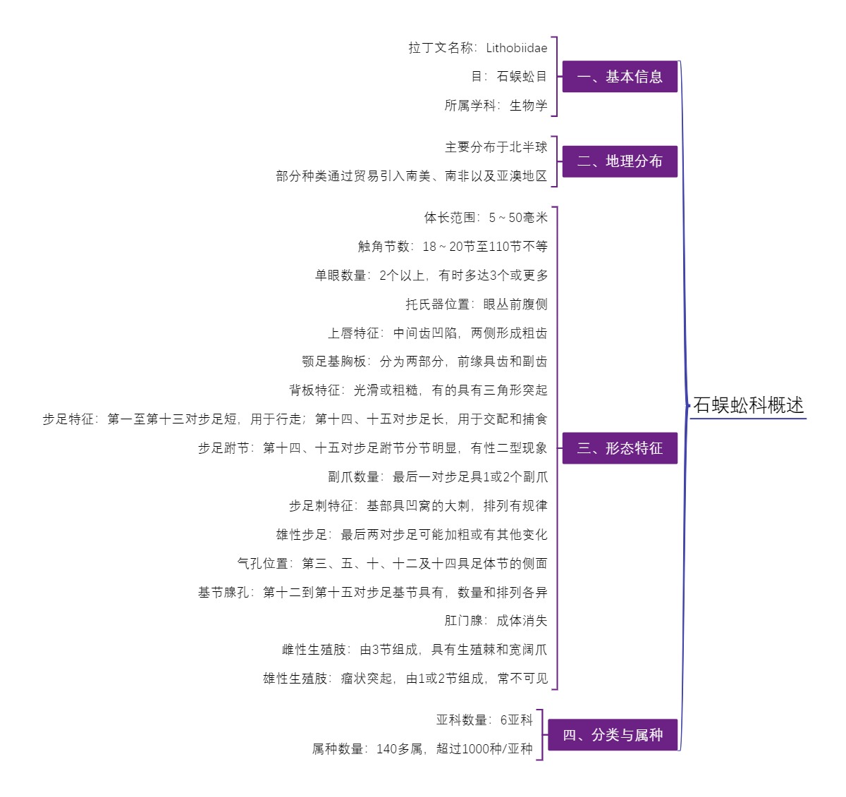 石蜈蚣科概述