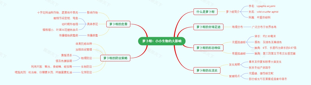 萝卜蚜：小小生物的大影响