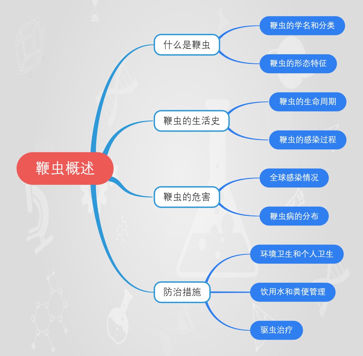 鞭虫概述