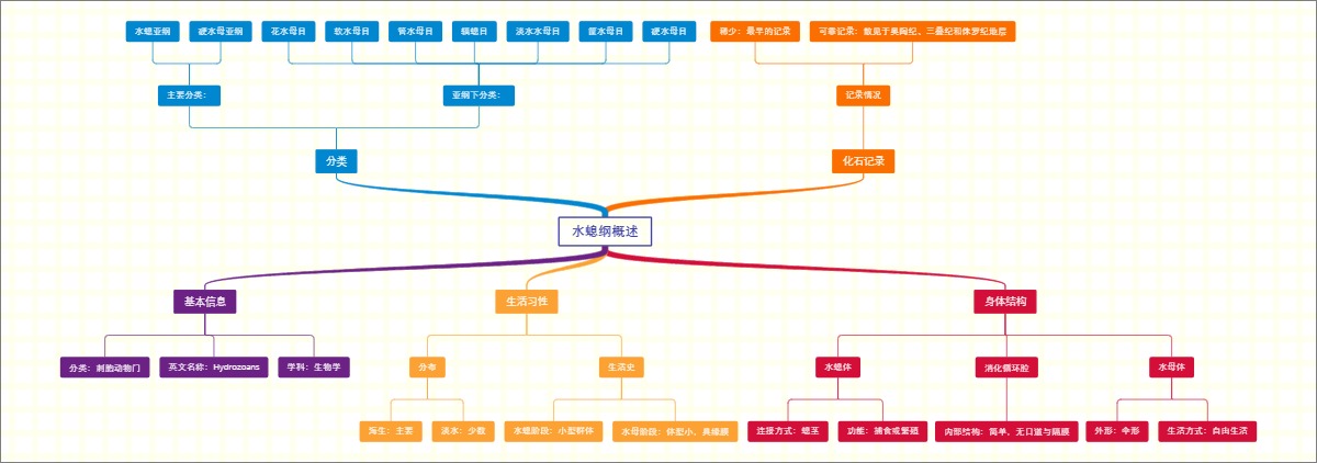水螅纲概述