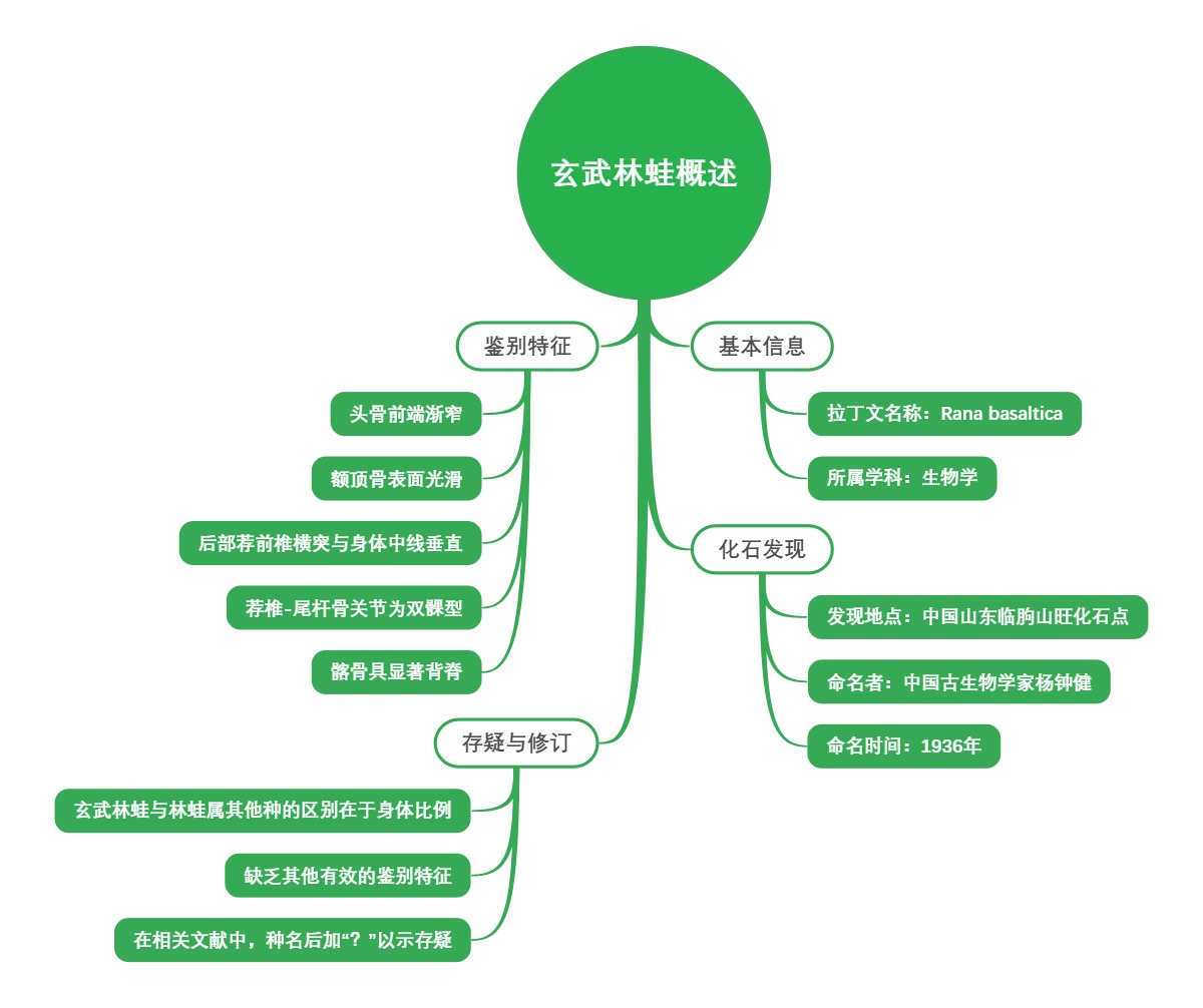 玄武林蛙概述