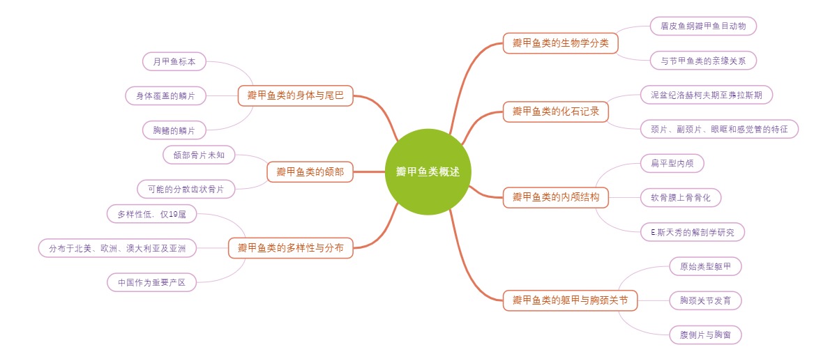 瓣甲鱼类概述