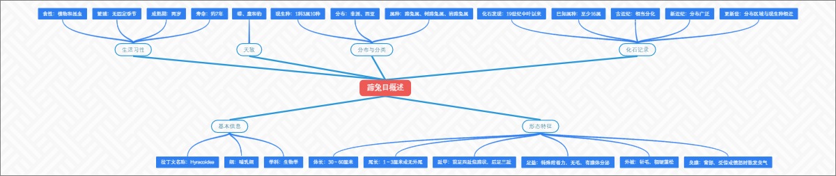 蹄兔目概述