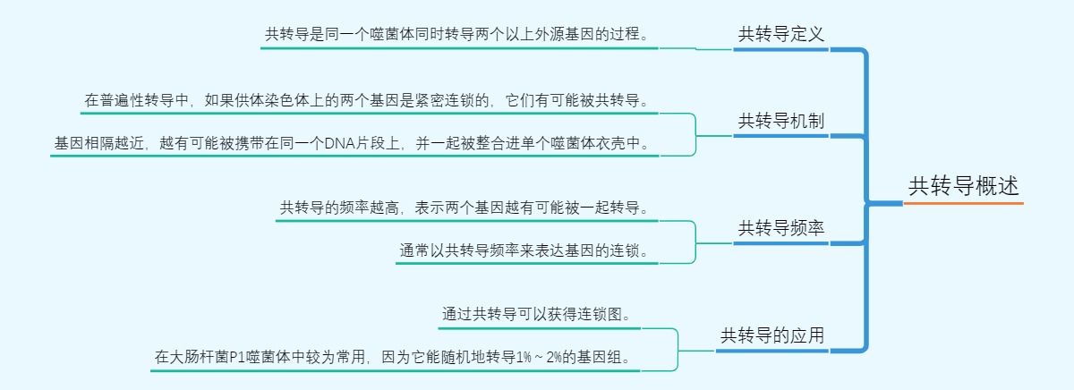 共转导概述