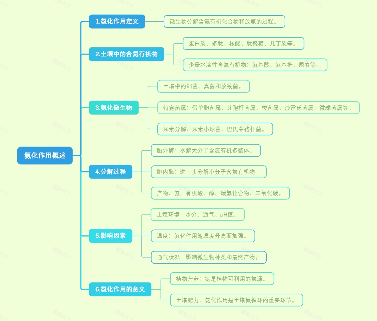 氨化作用概述