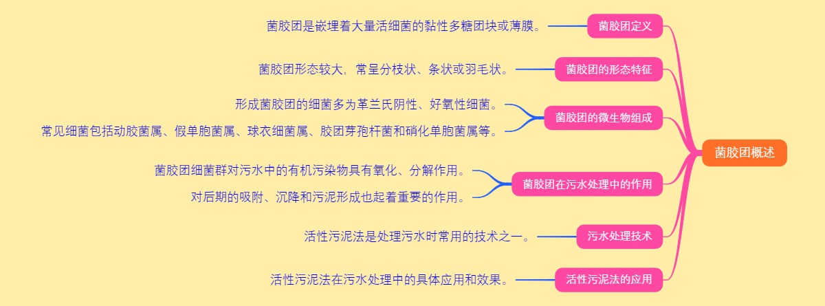 菌胶团概述