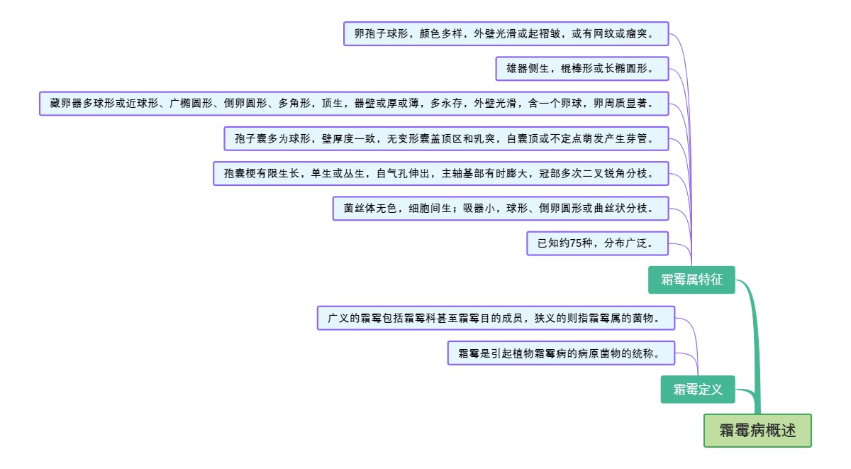霜霉病概述