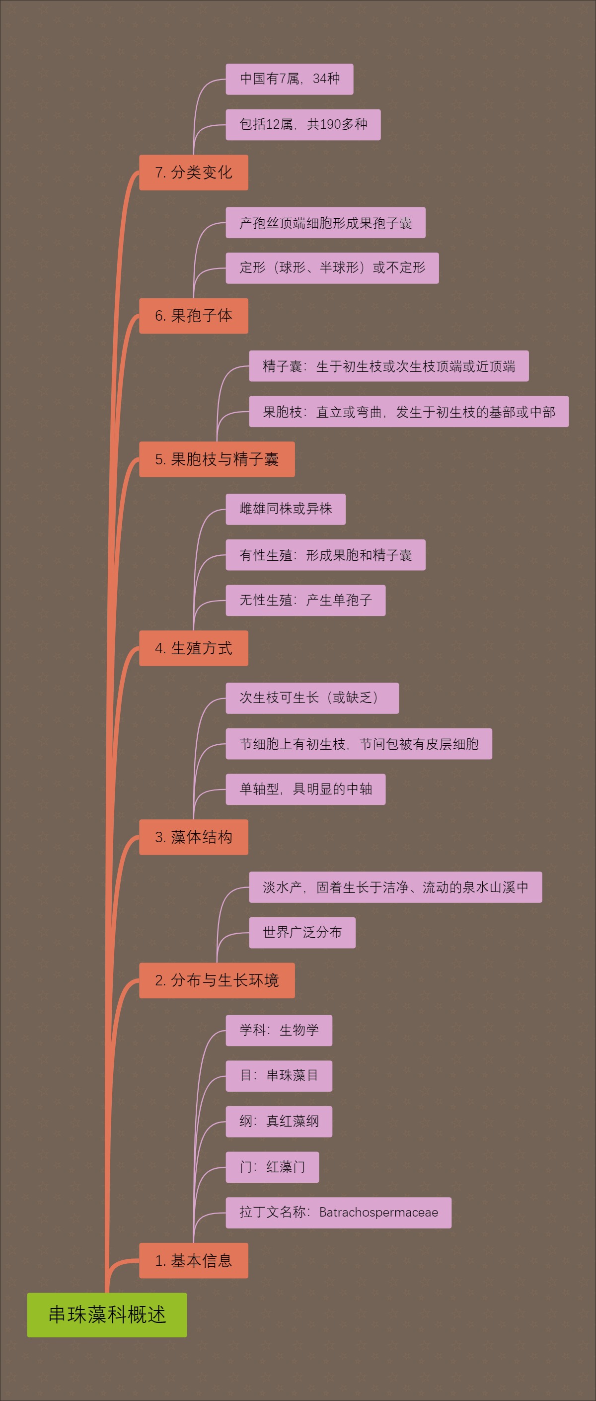 串珠藻科概述