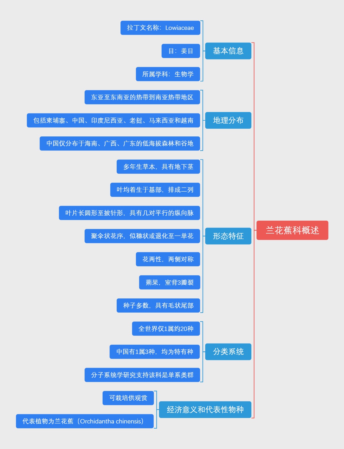 兰花蕉科概述