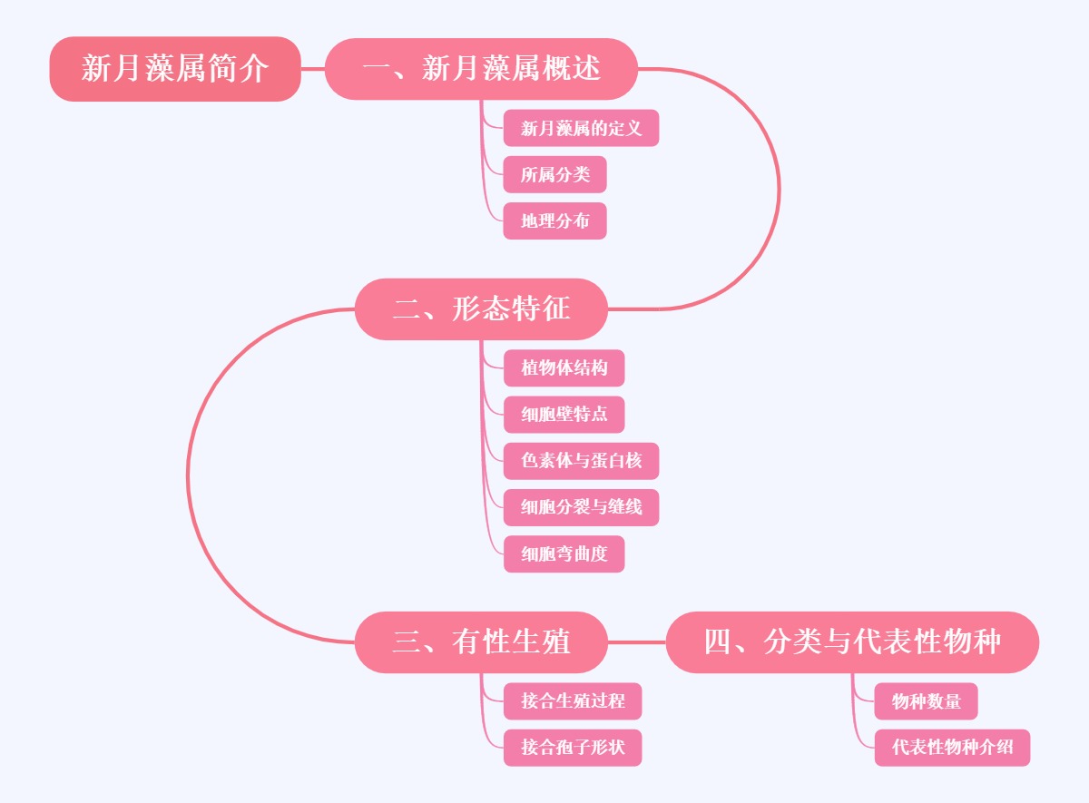 新月藻属简介