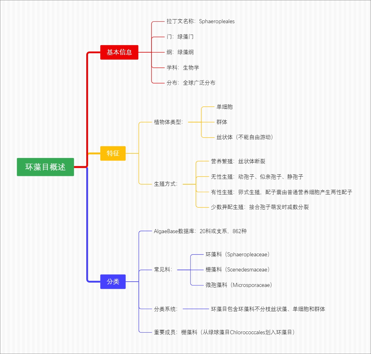 环藻目概述