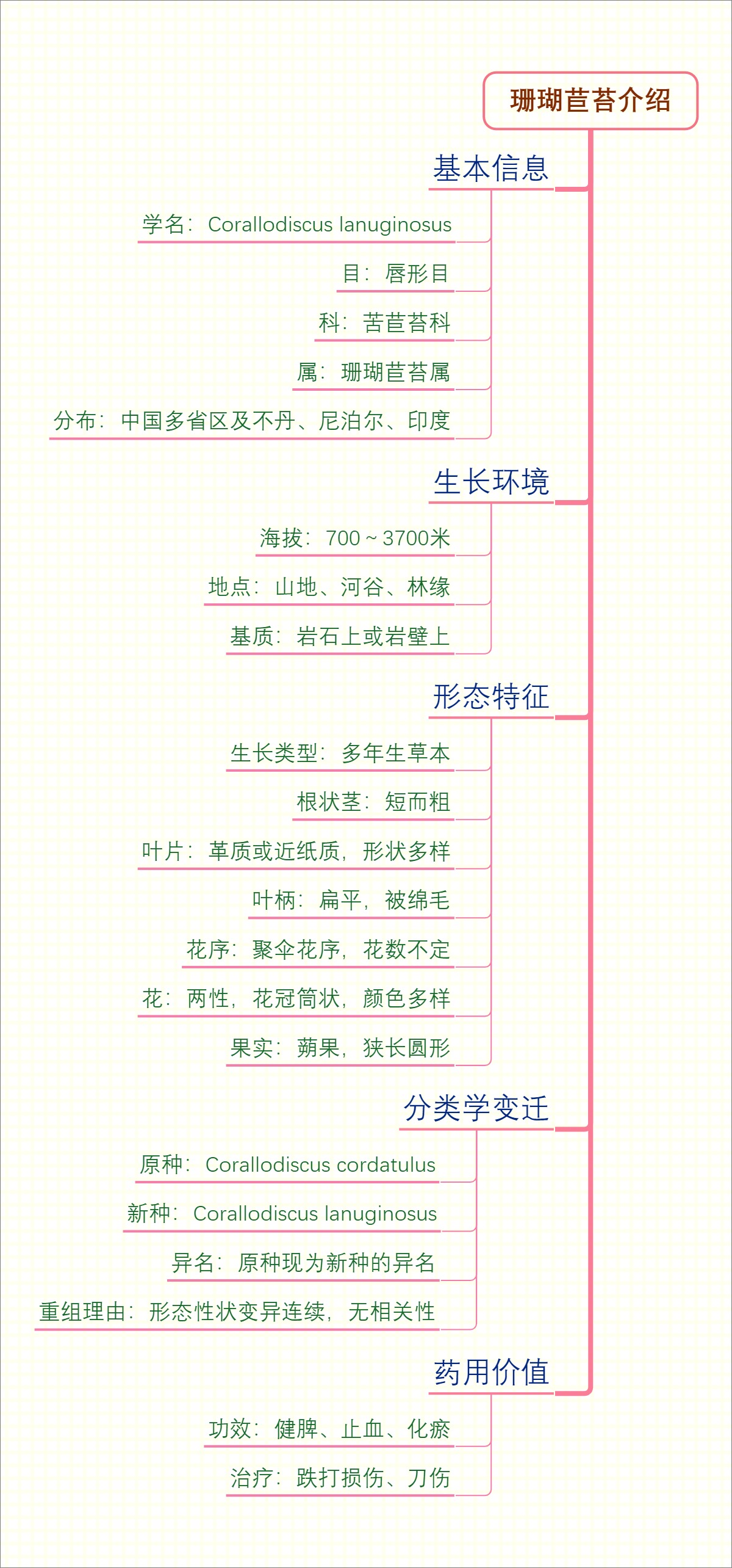 珊瑚苣苔介绍