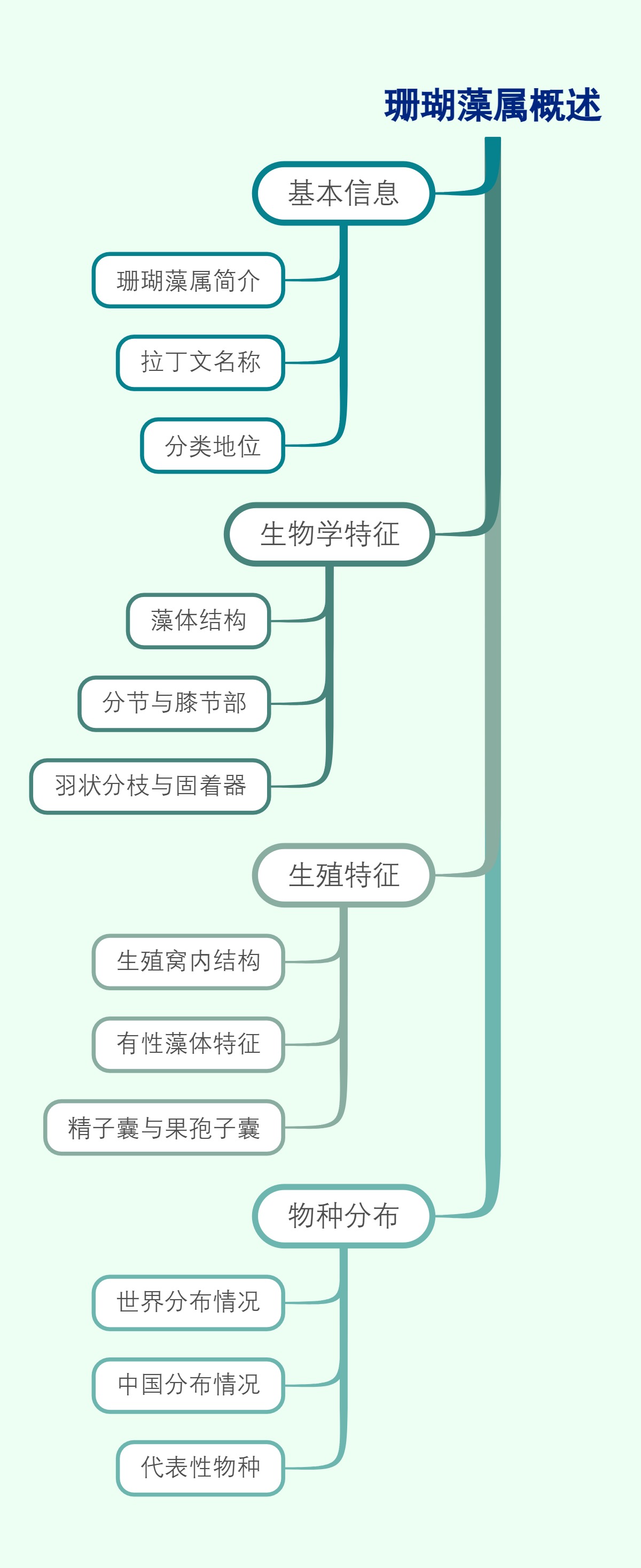 珊瑚藻属概述