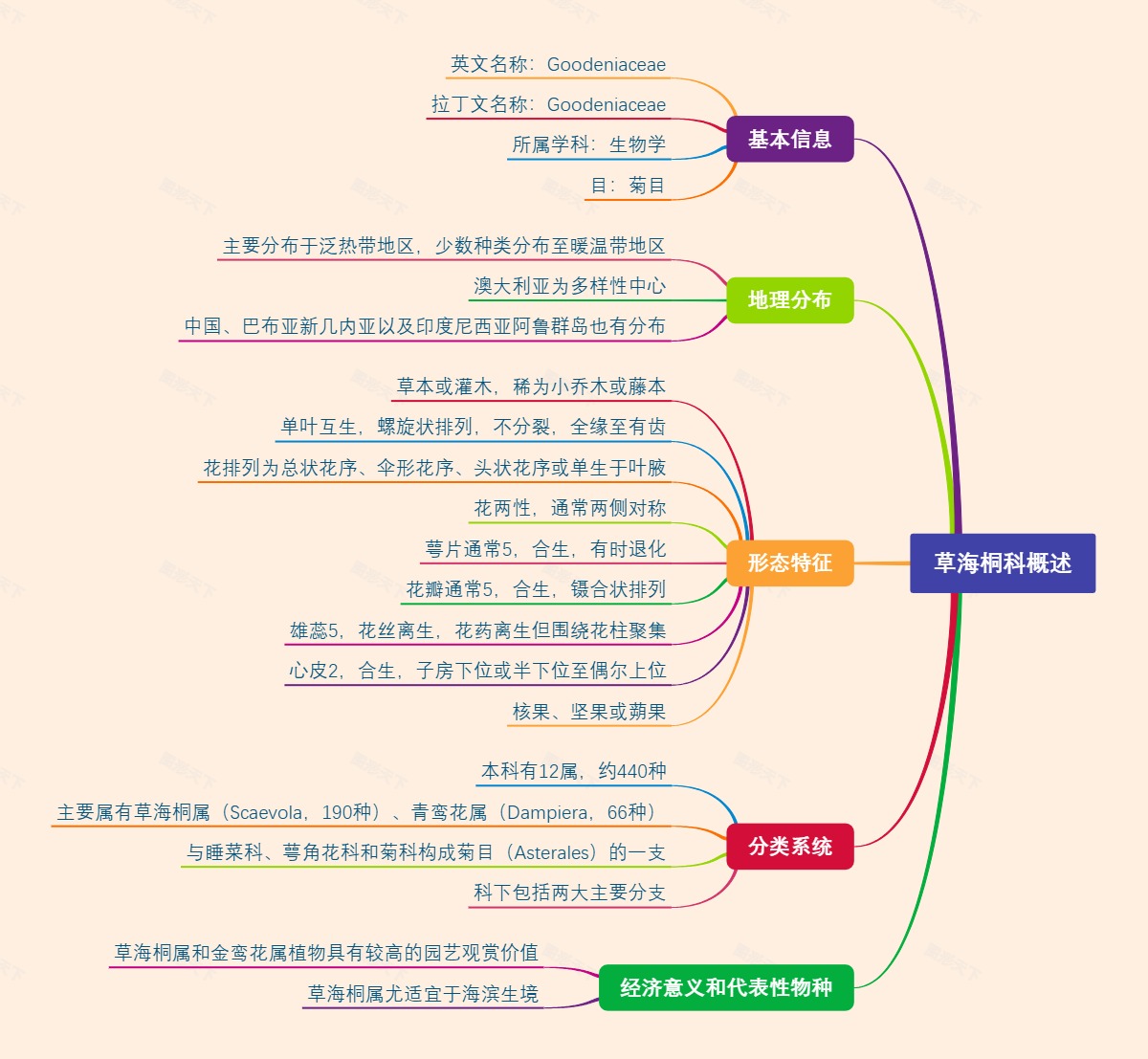 草海桐科概述