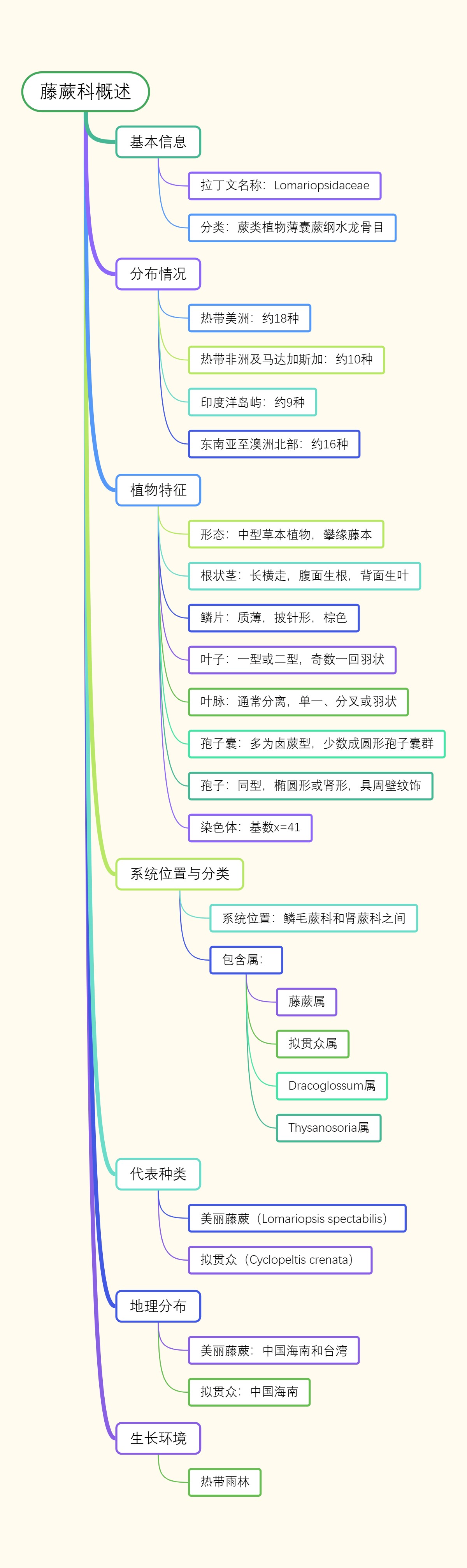 藤蕨科概述
