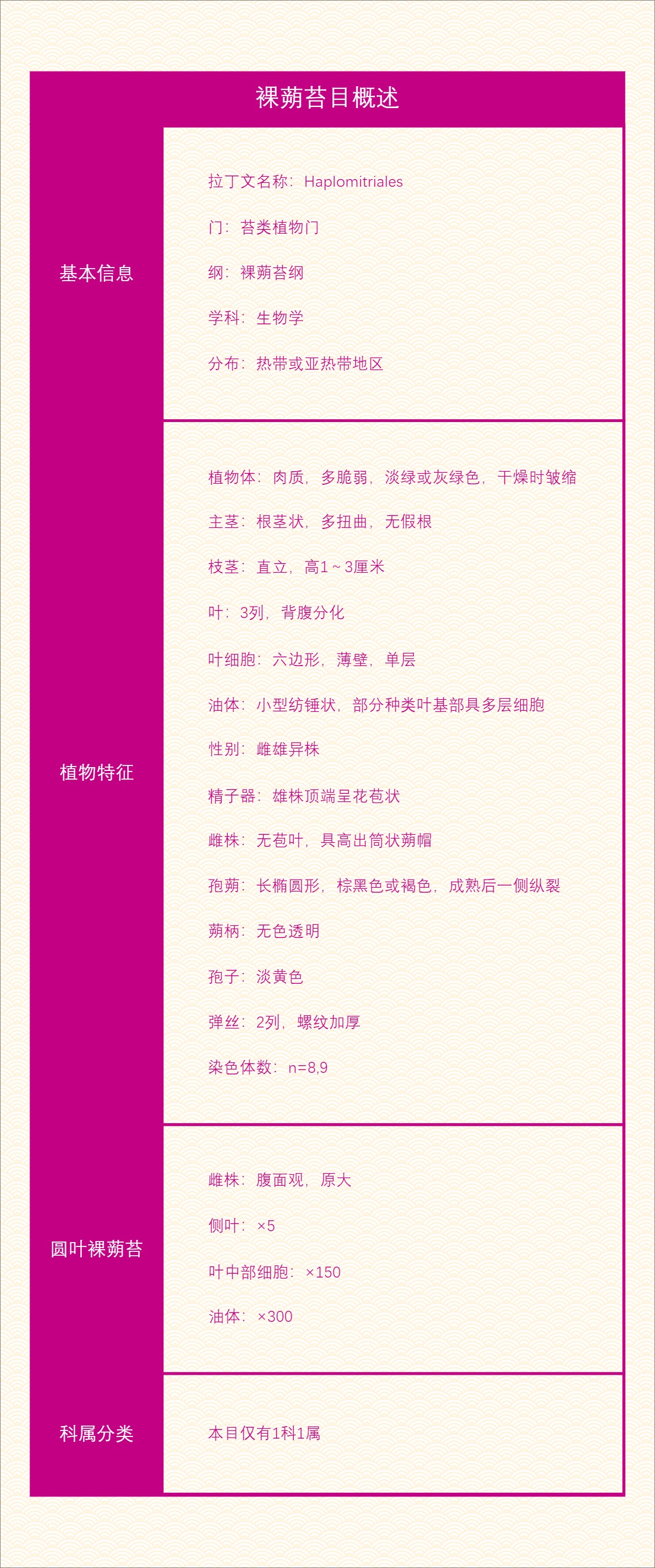 裸蒴苔目概述