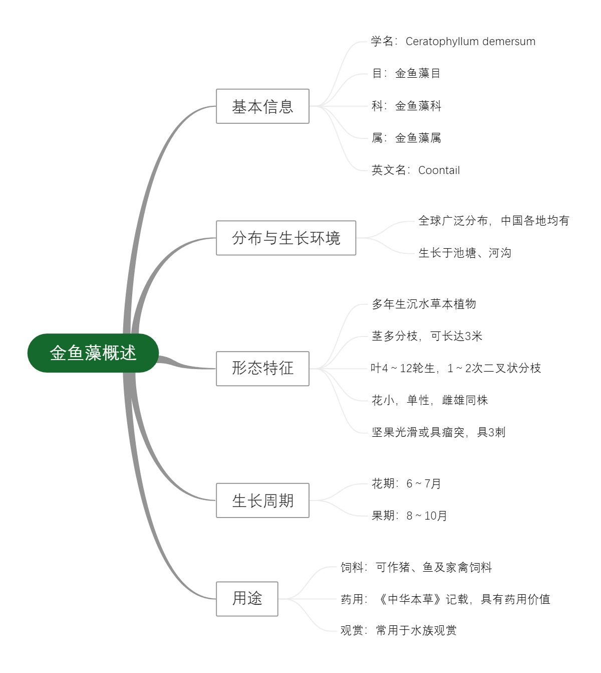 金鱼藻概述