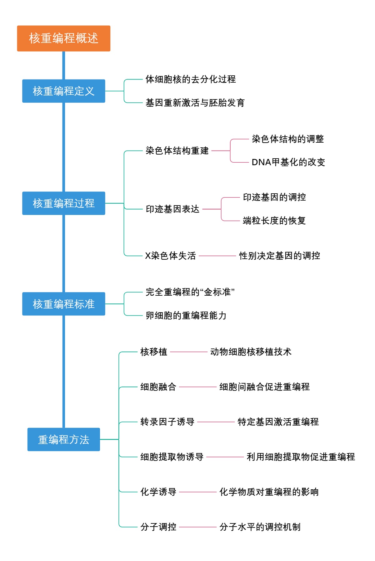 核重编程概述