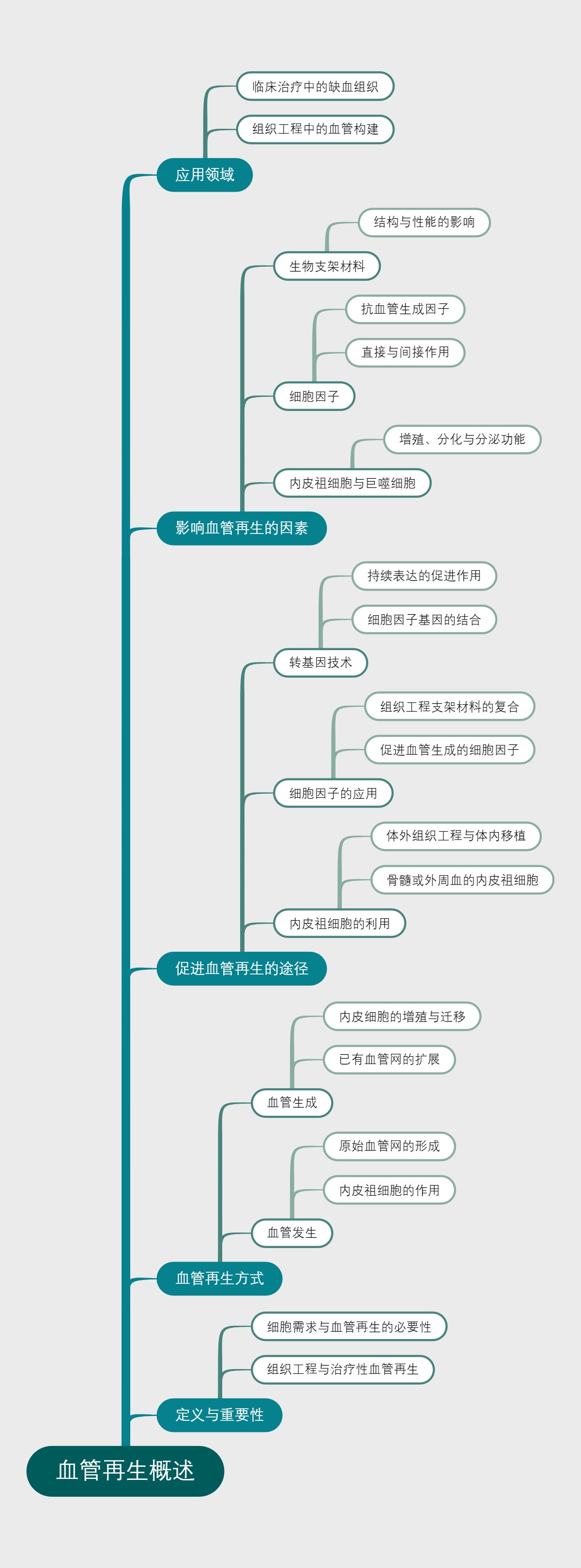 血管再生概述