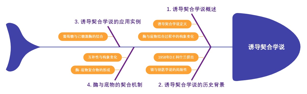 诱导契合学说