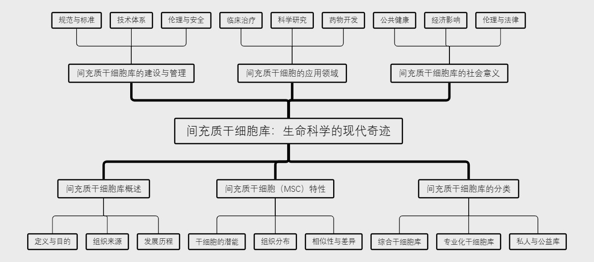 间充质干细胞库：生命科学的现代奇迹