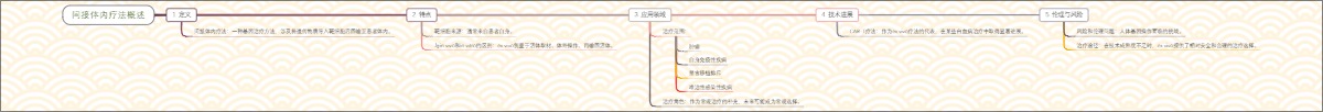 间接体内疗法概述