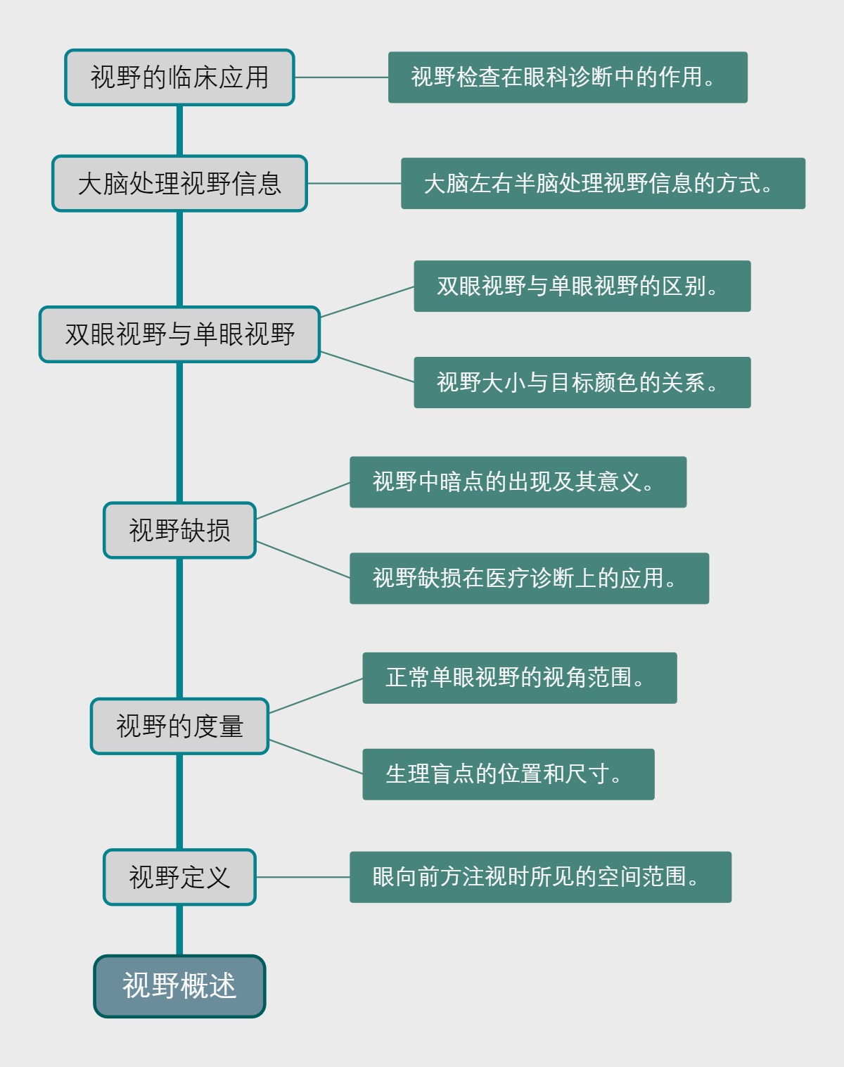 视野概述