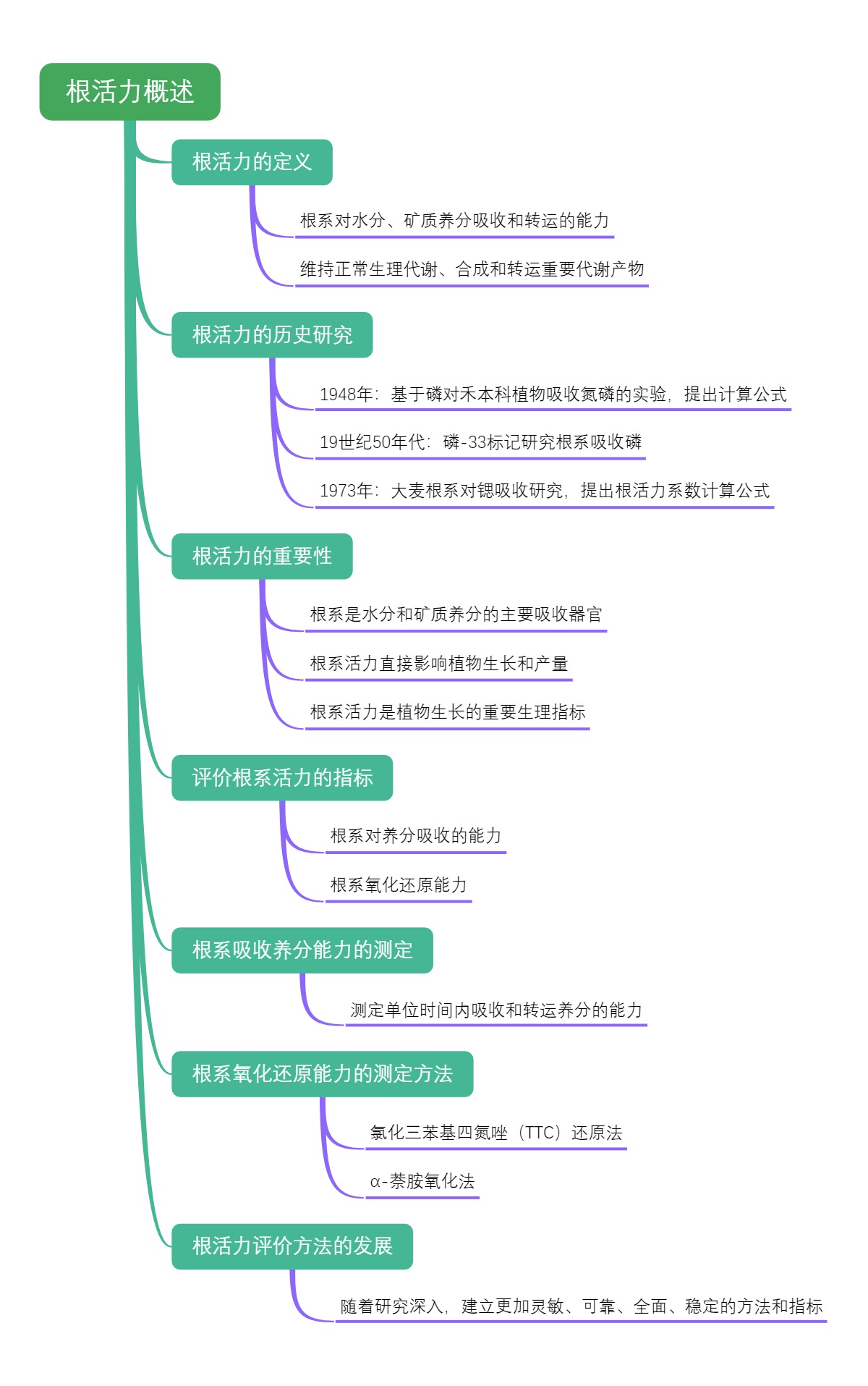 根活力概述