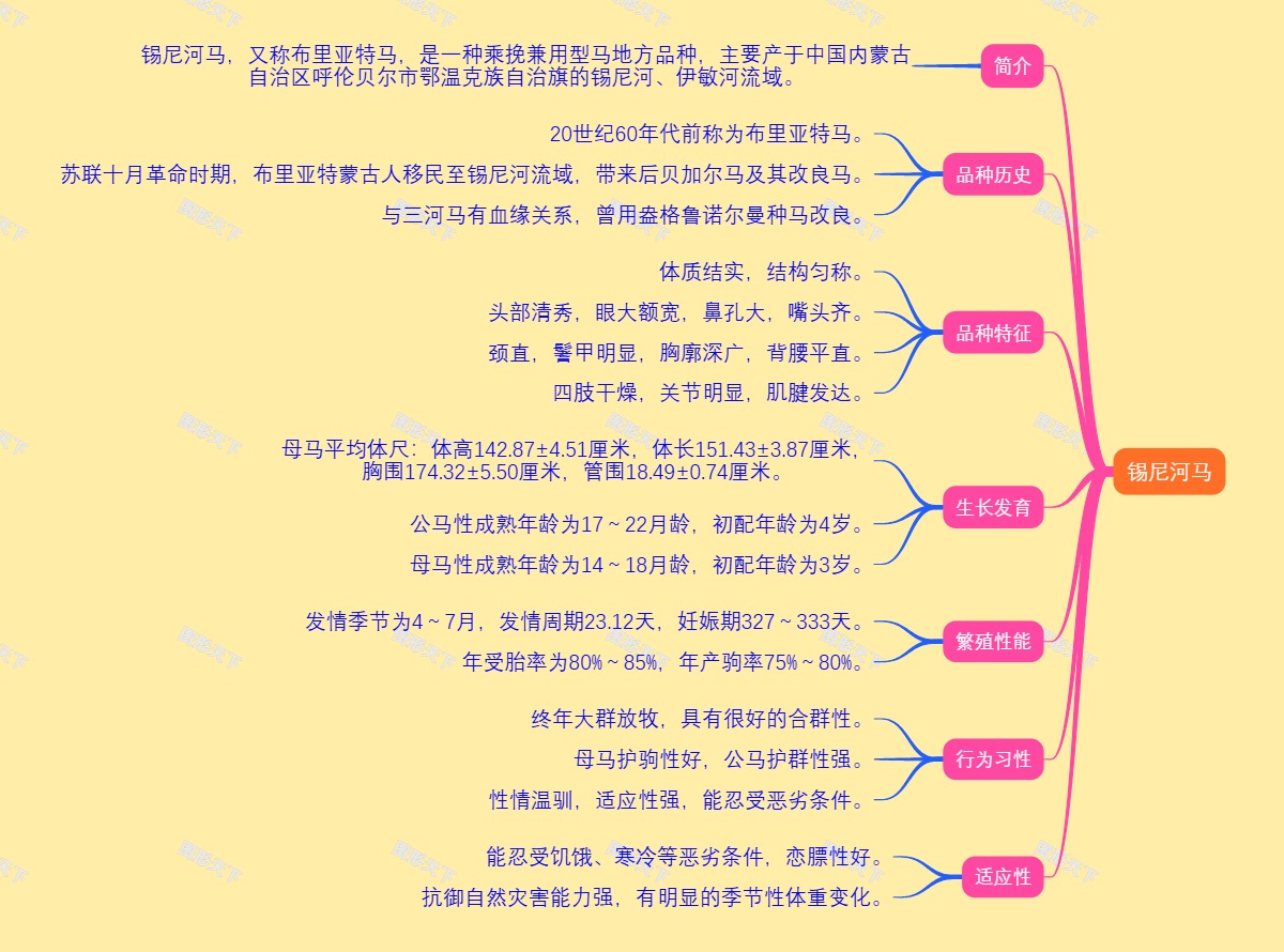 锡尼河马