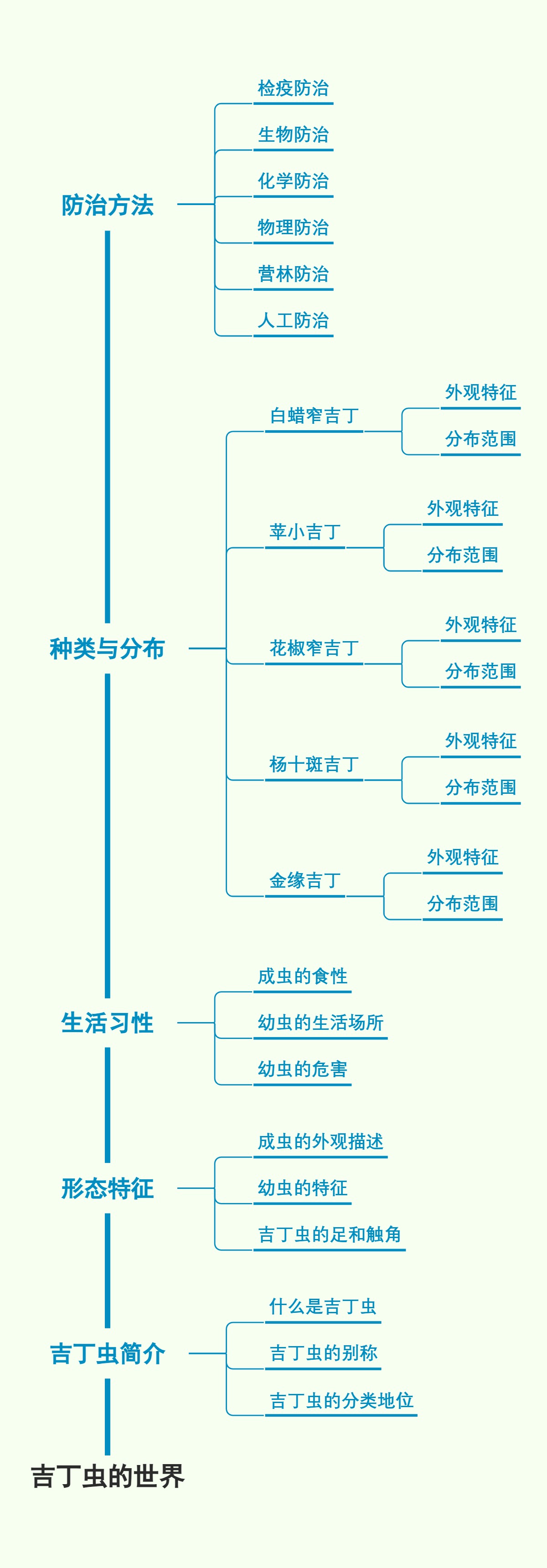 吉丁虫的世界