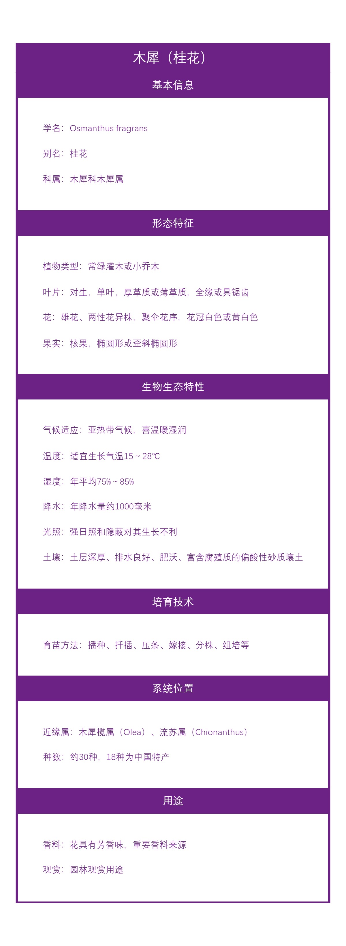 木犀（桂花）