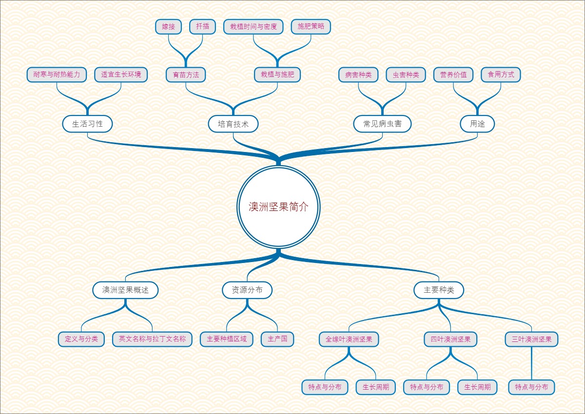 澳洲坚果简介