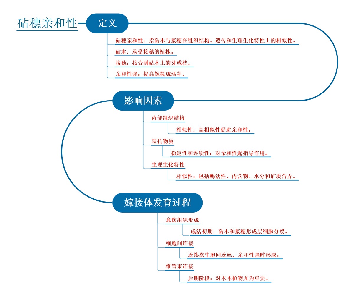 砧穗亲和性